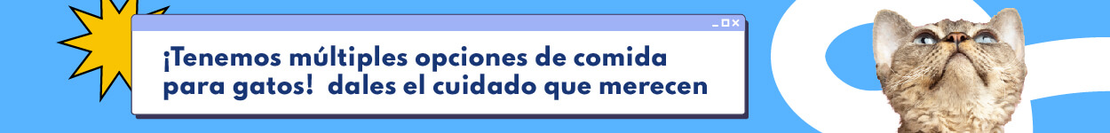 enemos múltiples opciones de comida para gatos